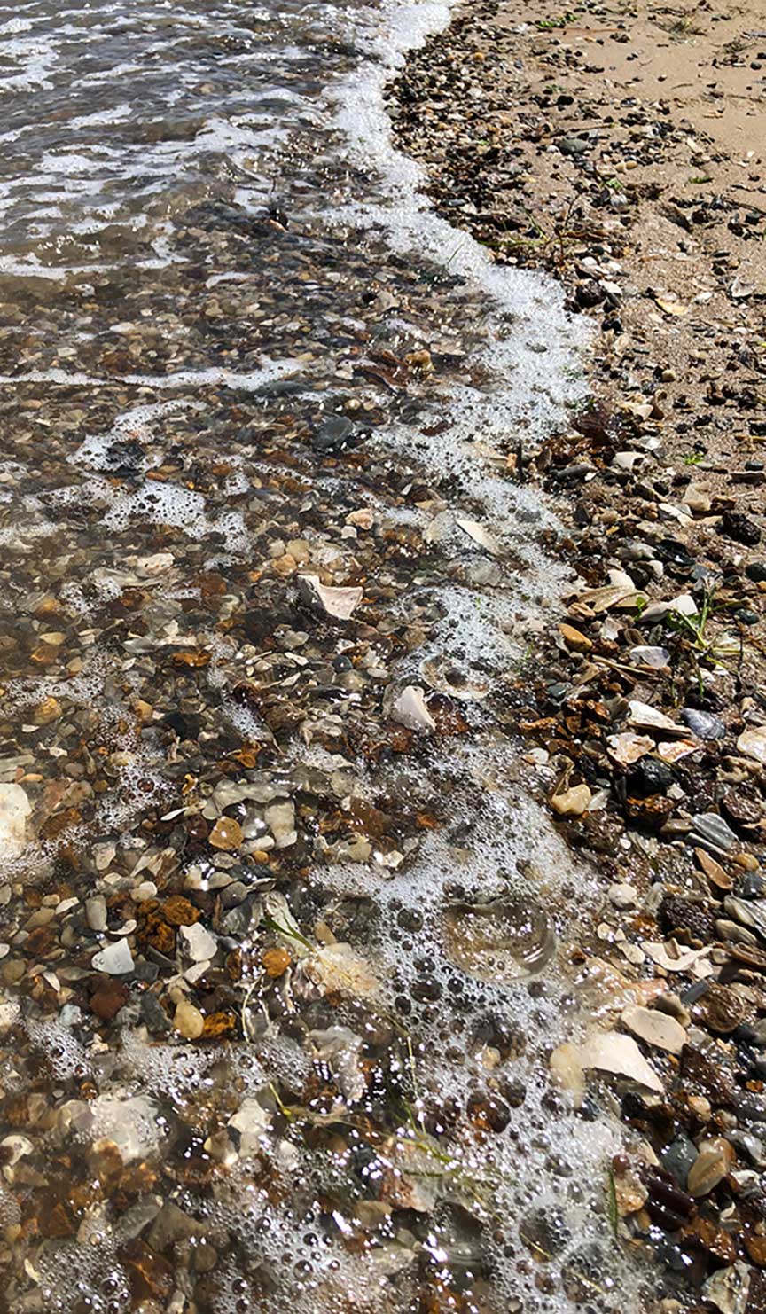 pebbles on the beach