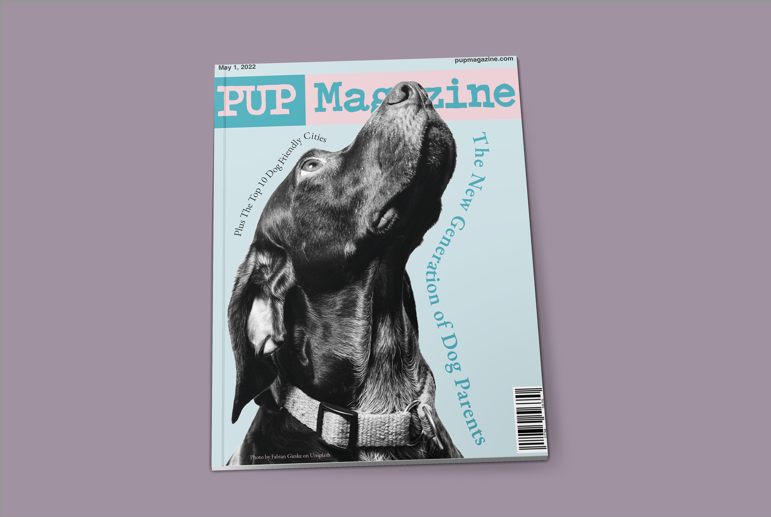 Pup Magazine Design